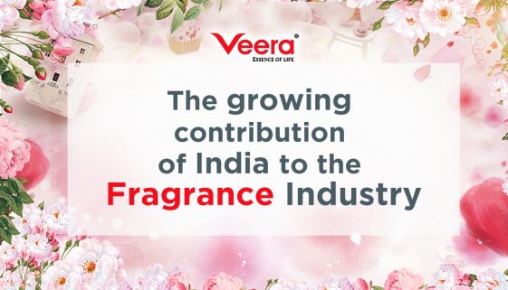 fragrance manufacturer